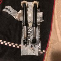 Coppia ammortizzatori lavatrice 481252918063