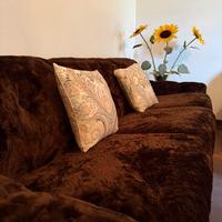 Divano di pregio, poltrone e lampadario