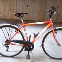 Bicicletta da uomo Carnielli 
