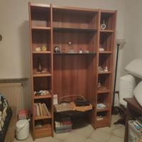 Armadio televisione parete attrezzata Estel