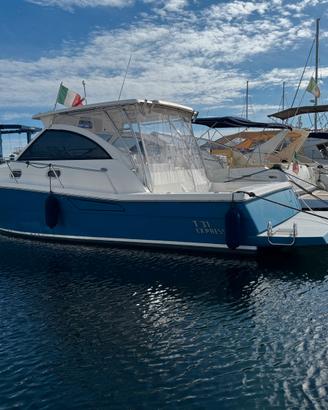 3B Craft T 31 EXPRESS