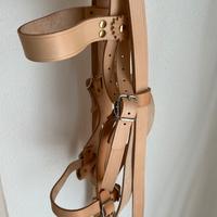 Testiera per cavallo