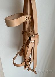 Testiera per cavallo