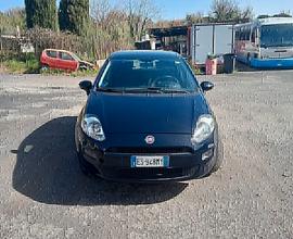 Fiat Punto Fiat Punto 1.4 8V 5 porte Natural Power