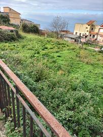 1000 mq. di terreno edificabile a Pellegrina