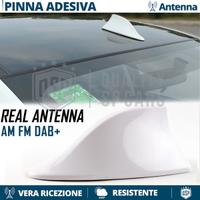 Antenna PINNA SQUALO BIANCA per PEUGEOT AM-FM-DAB