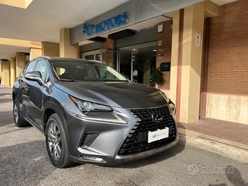 Lexus NX 300h 2.5 Business 4wd cvt *Promo SD 2026*