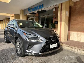 Lexus NX 300h 2.5 Business 4wd cvt *Promo SD 2026*
