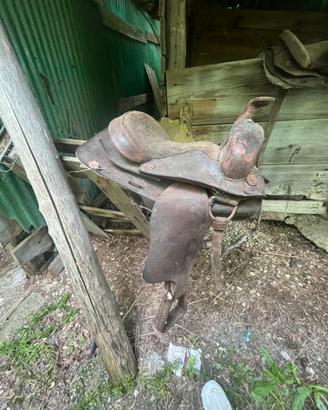 Selle da cavallo e pony