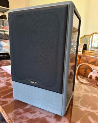 Coppia diffusori Tannoy System 10 — dual concentri