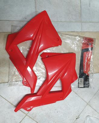 plastiche gas gas 300