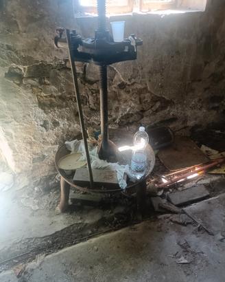 Torchio Antico per Vinaccia 