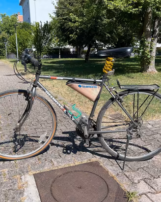bici da uomo