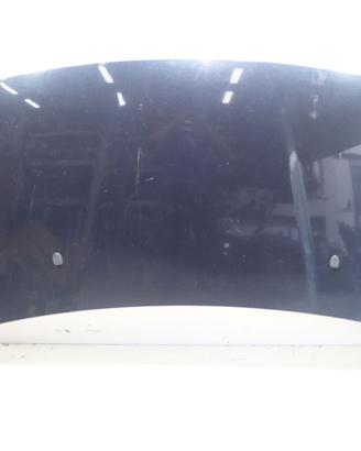 COFANO ANTERIORE PEUGEOT 3008 Serie 7901Q8 9HR (09