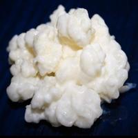 Grani di kefir di qualità 