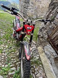 Trial gas gas txt 50 cc