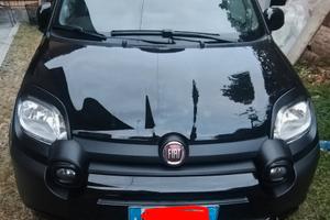 PANDA CROSS SU SCOCCA 4X4  1.0 HYBRID