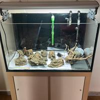 Acquario 145 litri