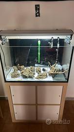 Acquario 145 litri