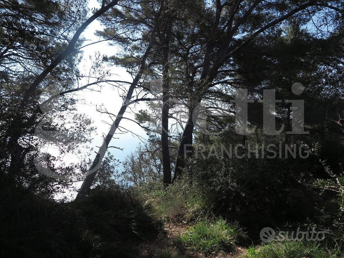 Rustico/Casale/Corte Lerici [629VRG] - Vista 4