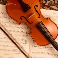 Violino da studio 1/2