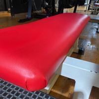 PANCA PIANA TECHNOGYM