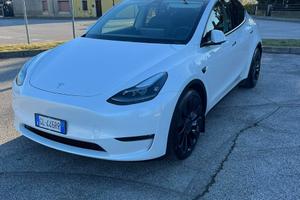 Tesla Model Y Performance