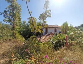 R.G.E. 91/2022 Barcellona P.G