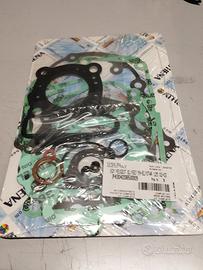 Serie guarnizioni motore Elyseo 125