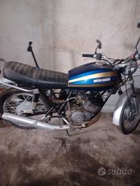 moto guzzi 250 ts