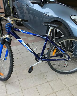 Scott Purgatory 26’’