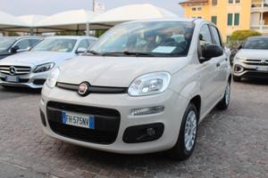FIAT Panda 1.2 Easy NEOPATENTATI - NO BOLLO