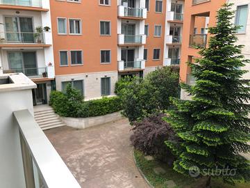 Bilocale parco marinelli