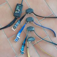 Collare per addestramento cani