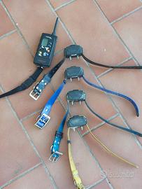 Collare per addestramento cani