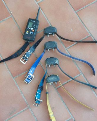 Collare per addestramento cani