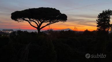 Appartamento Napoli [Cod. rif 3272753VRG]