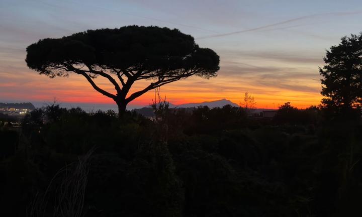 Appartamento Napoli [Cod. rif 3272753VRG]