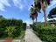 Immagine 30