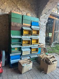 Arnie e attrezzatura api