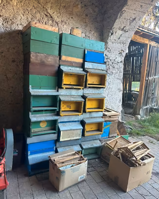 Arnie e attrezzatura api