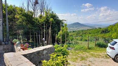 Vendita casa a schiera a calaone