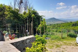 Vendita casa a schiera a calaone