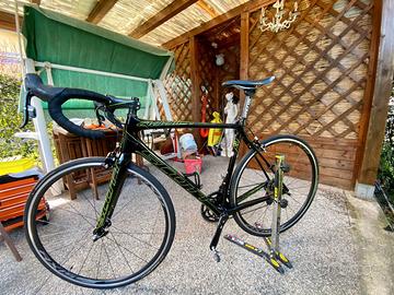 Scott Addict Team Issue Uci bici da corsa carbonio