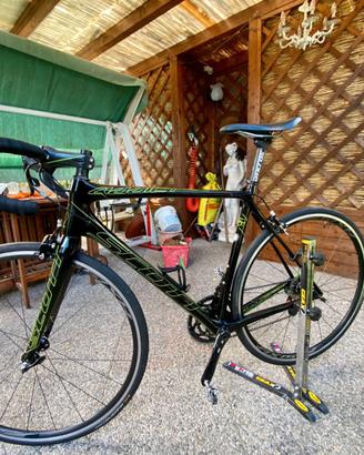 Scott Addict Team Issue Uci bici da corsa carbonio