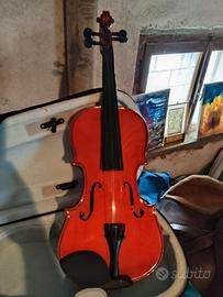 Violino