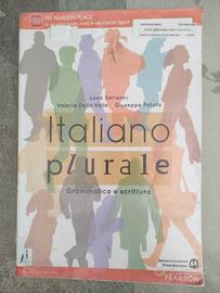 Serianni-Della Valle- Patota, Italiano plurale