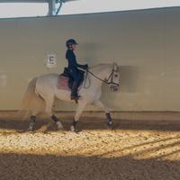PRE 11 anni da dressage