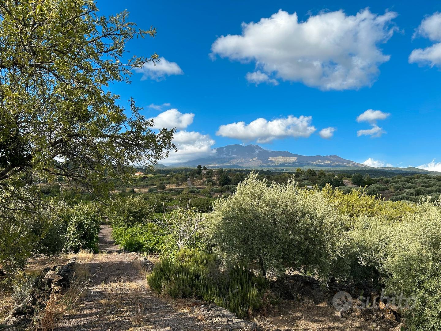 Terreno di 14000mq -Edific.- Vigneto, Uliveto - Altro