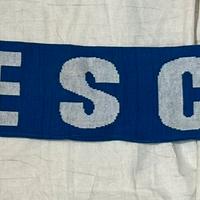 Sciarpa Brescia Roberto Baggio